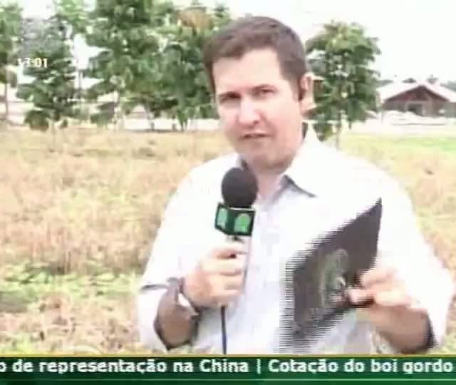 Expedição Soja Brasil conversa com representantes da Embrapa de Sinop (MT)