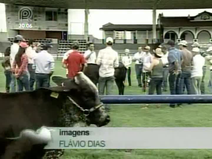 Curso de julgamento da raça girolando ocorre em MG