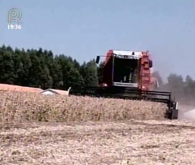 Parceria aponta recorde na expectativa dos produtores de soja