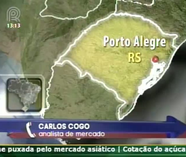 Analista de mercado comenta sobre expectativa de aumento da produtividade de soja nos EUA
