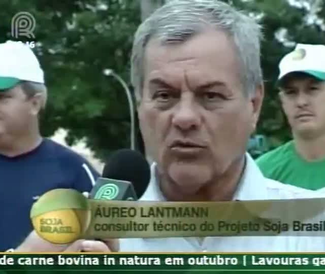 Consultor técnico do Projeto Soja Brasil comenta sobre o maior pé de soja do Brasil