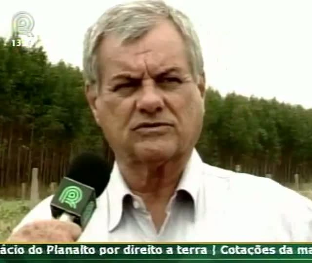 Consultor do Projeto Soja Brasil fala sobre o desenvolvimento do grão na região de Ipiranga do Norte (MT)