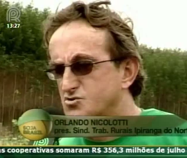 Assentamentos estão dando certo pelas condições da região e tecnologia de Ipiranga do Norte (MT)