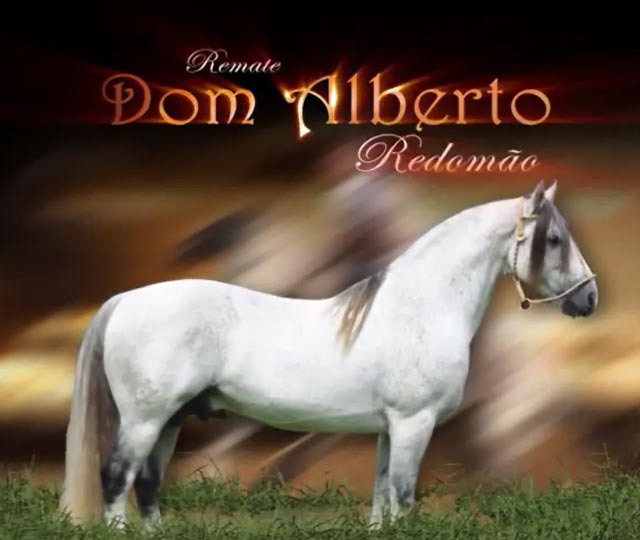 Remate Dom Alberto Redomão