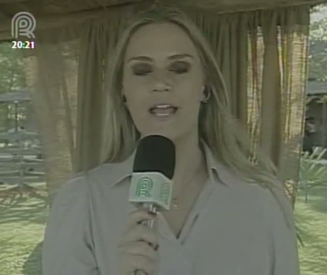 Remate anual da cabanha São Bibiano foi realizado em Uruguaiana (RS)