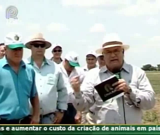 Atraso de plantio de soja prejudica safrinha de milho em Diamantino (MT)