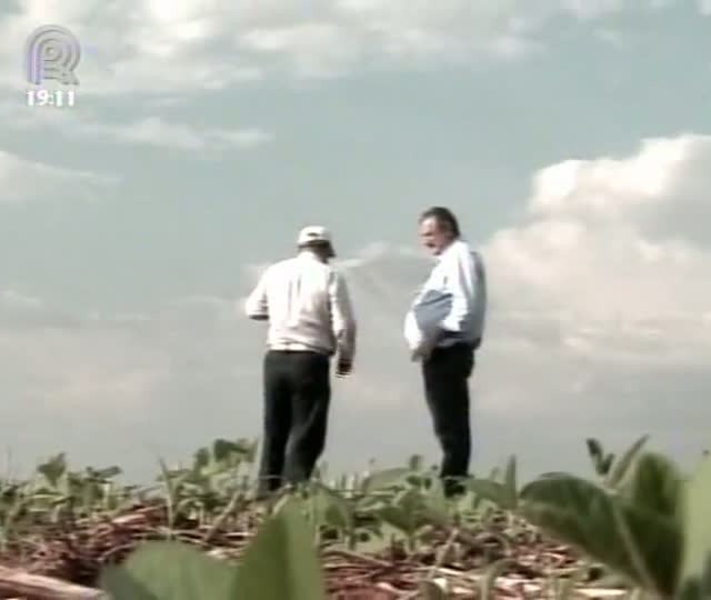 Equipe do Projeto Soja Brasil percorre fazendas em Mato Grosso para analisar problemas provocados pela chuva