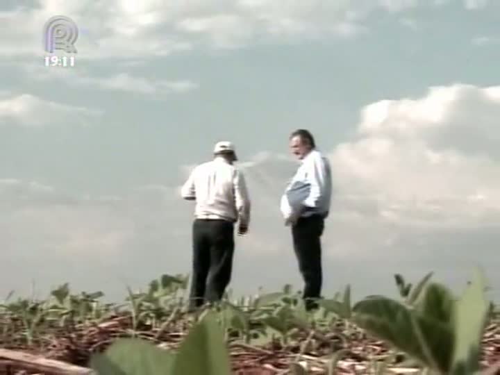 Equipe do Projeto Soja Brasil percorre fazendas em Mato Grosso para analisar problemas provocados pela chuva