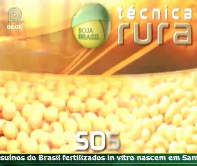 Técnica Rural mostra como o manejo do solo impulsiona a produtividade da lavoura