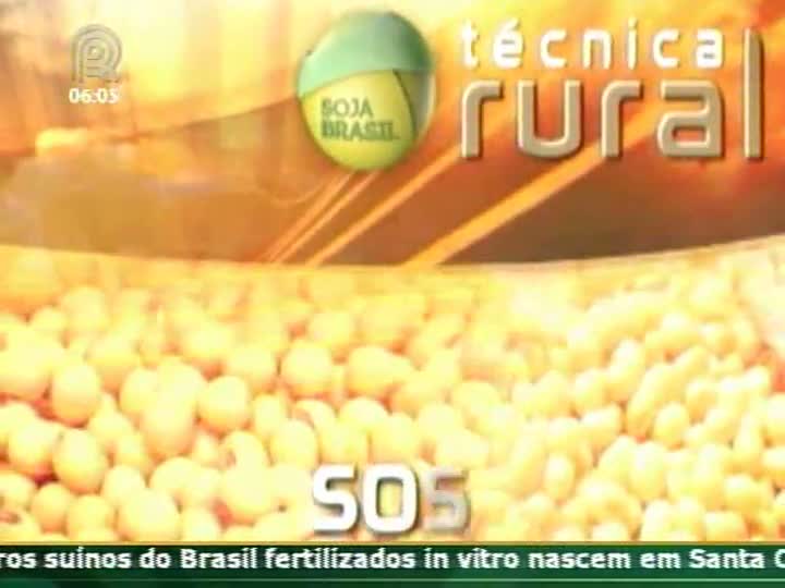 Técnica Rural mostra como o manejo do solo impulsiona a produtividade da lavoura