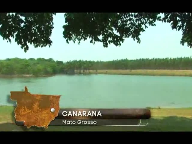 Dupont Colheita Farta - Chamada 2 - Programa 4