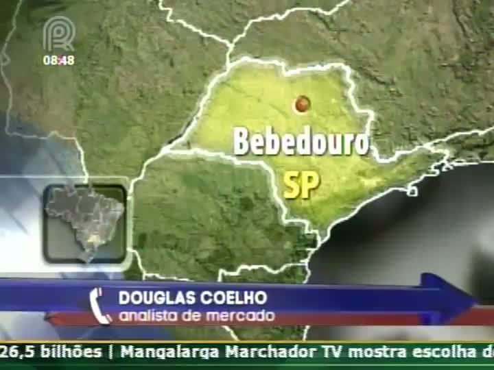 Boi Gordo: tendência de alta continua na semana, afirma analisa de mercado