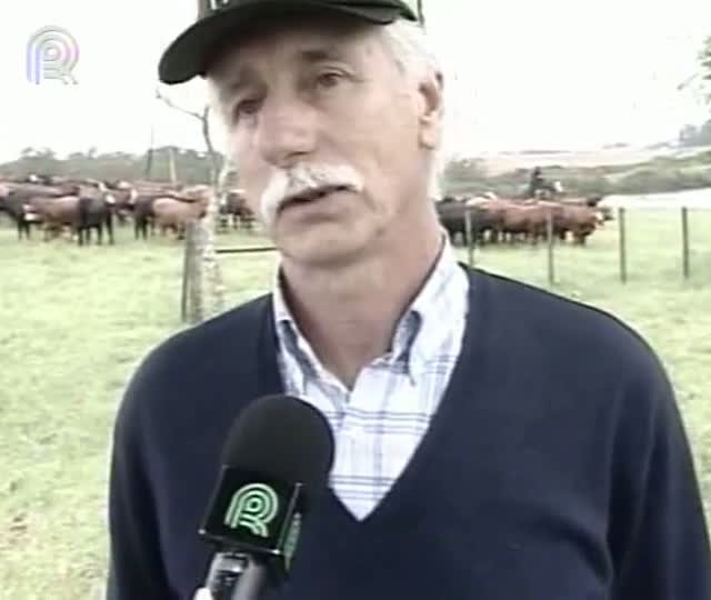 Produtores e pesquisadores se reúnem para discutir futuro da pecuária de corte no RS