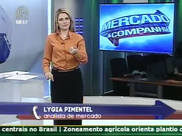 Alta nas cotações do boi gordo deve ter sustentação, afirma Lygia Pimentel