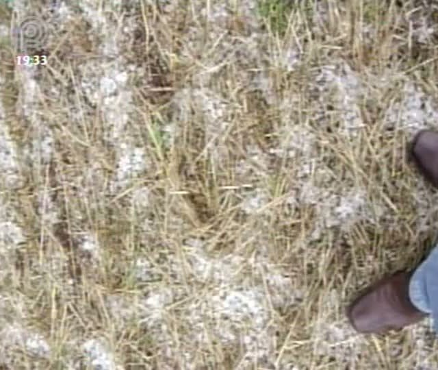 Granizo provoca prejuízo em municípios do Rio Grande do Sul