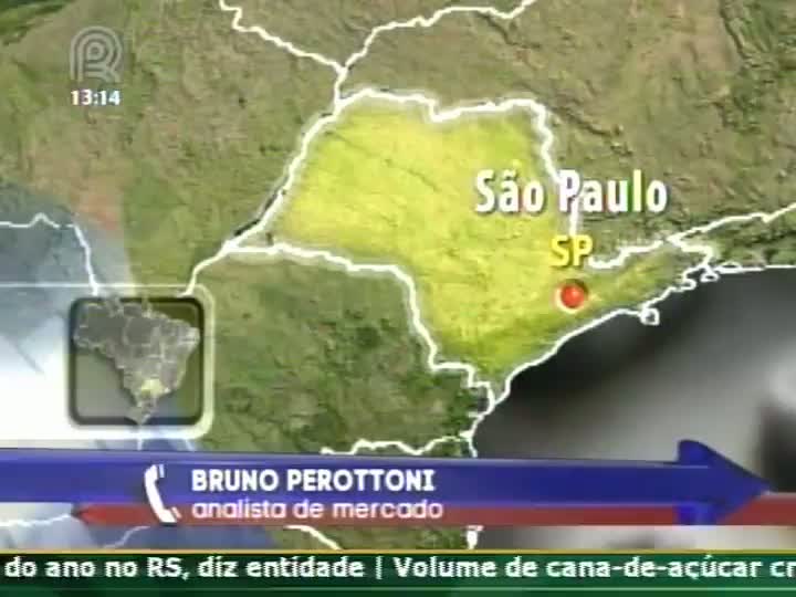 Entrevista com analista Bruno Perottoni