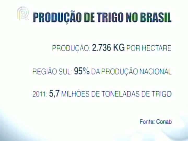 Congresso Internacional do Trigo é realizado em Florianópolis (SC)