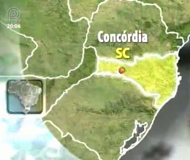 Presidente da associação catarinense de criadores de Suínos fala sobre o mercado