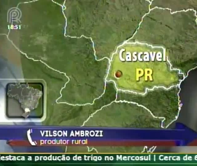 Produtor rural comenta sobre especulações feitas por analistas de mercado