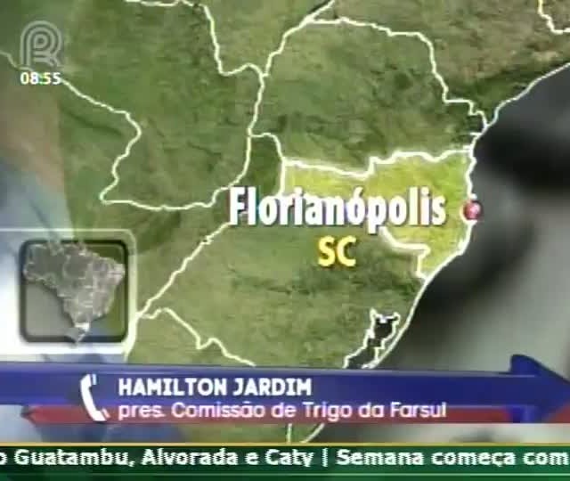 Chuva de granizo pode agravar perdas no campo, se confirmada previsão meteorológica