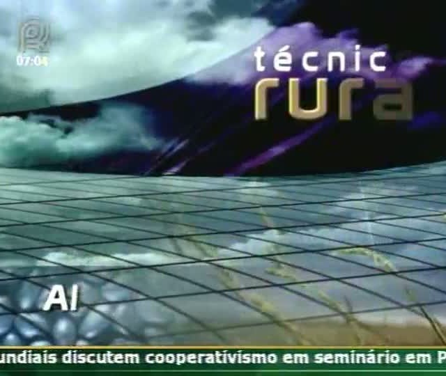 Técnica Rural mostra cultivo de flores