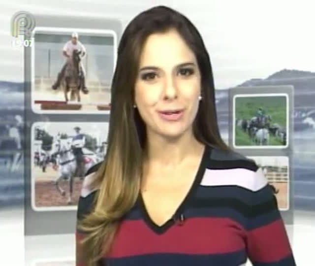 Mangalarga Marchador TV mostra segunda etapa do projeto Caminhos do Marchador