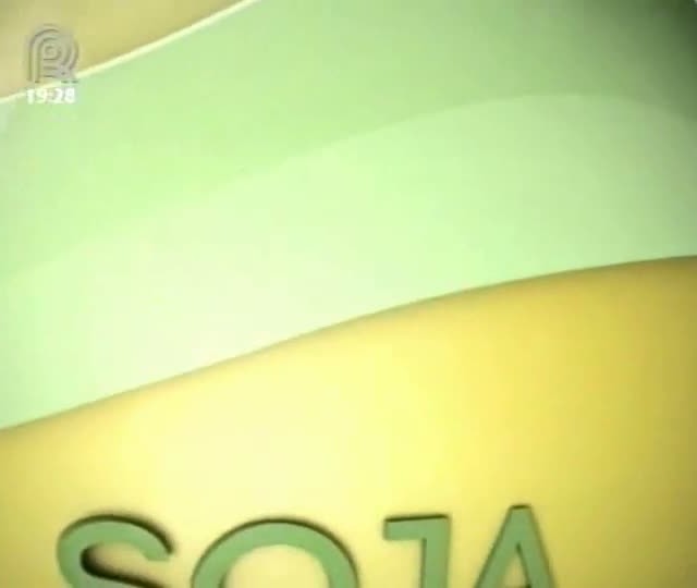 Próxima safra brasileira de soja promete bater recorde