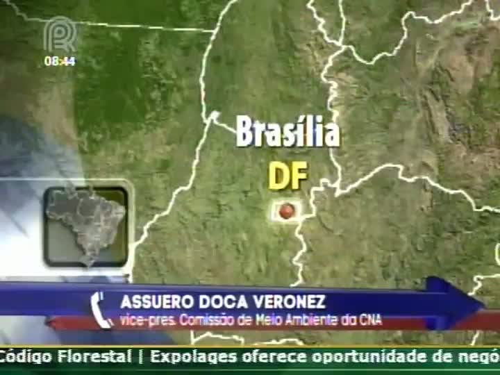 Código Florestal: CNA recebe com surpresa os nove vetos ao texto, mas não pretende contestar via judicial a decisão da presidente