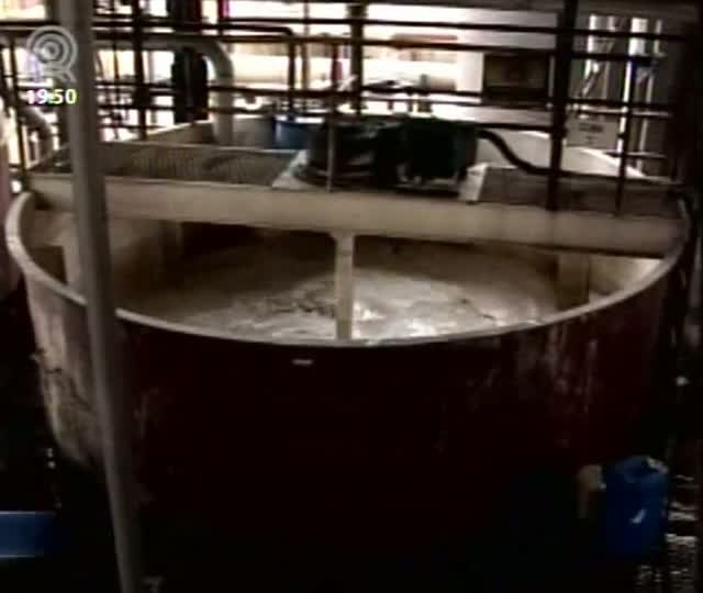 Representantes pedem políticas claras para setor sucroenergético
