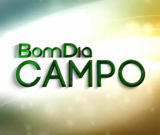 Feijão deve ter alta no preço
