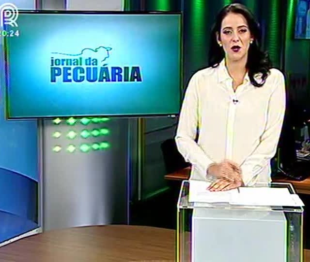 Suínos: veja o cenário de preços