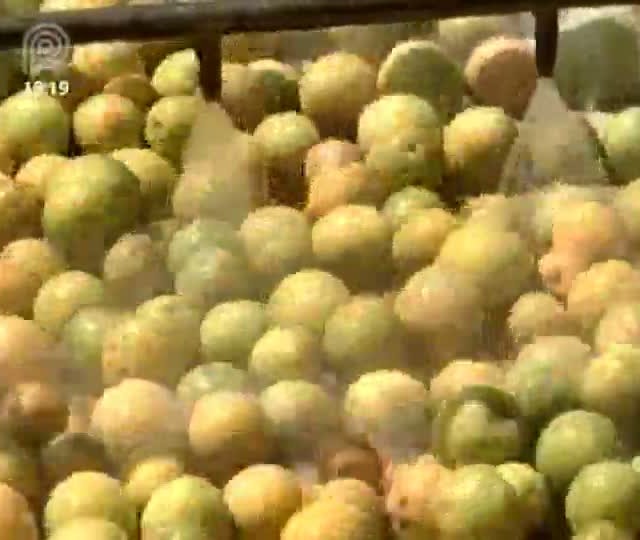 Retomada nas exportações de suco de laranja para os Estados Unidos amenizam crise no setor