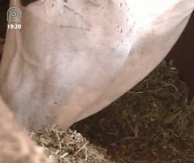 Situação do mercado não está favorável para produtores de SP