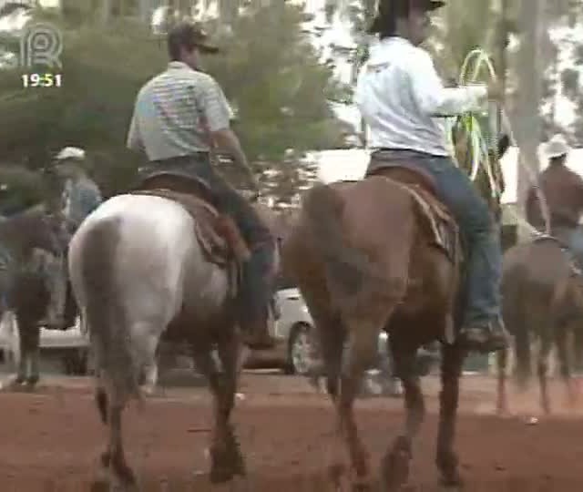 Cuidado com logística beneficia desempenho de animais nas competições da raça Quarto de Milha