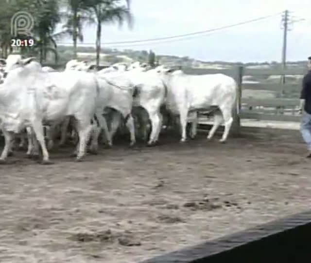 Profissionais trocam feriado por curso em MG