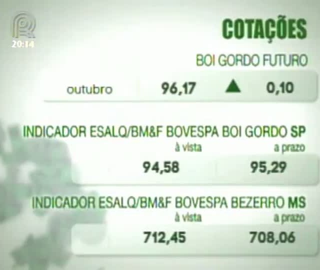 Scot consultoria comenta o mercado do boi gordo