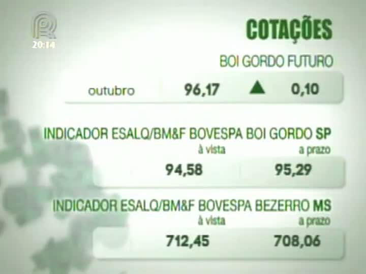 Scot consultoria comenta o mercado do boi gordo