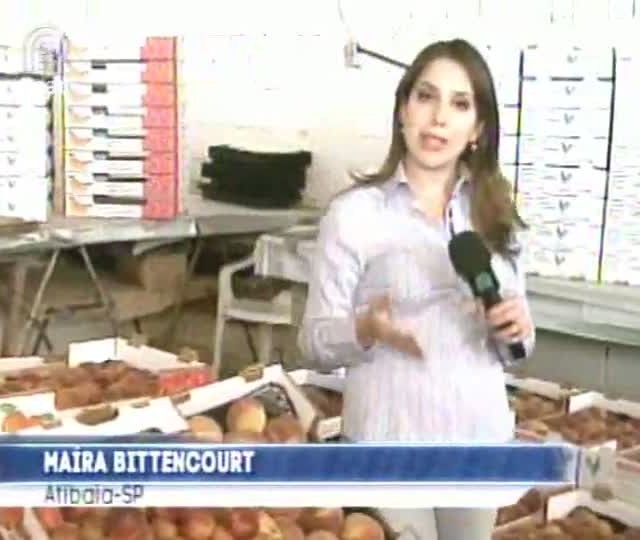 Produtores de pêssego de São Paulo estão insatisfeitos com qualidade do produto