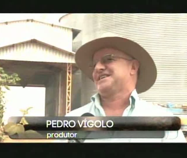 Colheita Farta - Programa 1 - Pedro Vígolo - Fazenda Videira - Sorriso (MT)