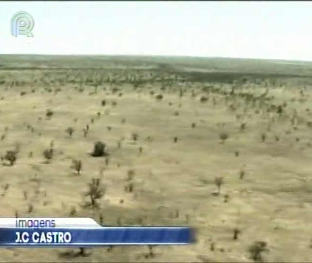Evento em Uberaba (MG) promove intercâmbio de informações sobre pecuária de corte entre Brasil e Austrália