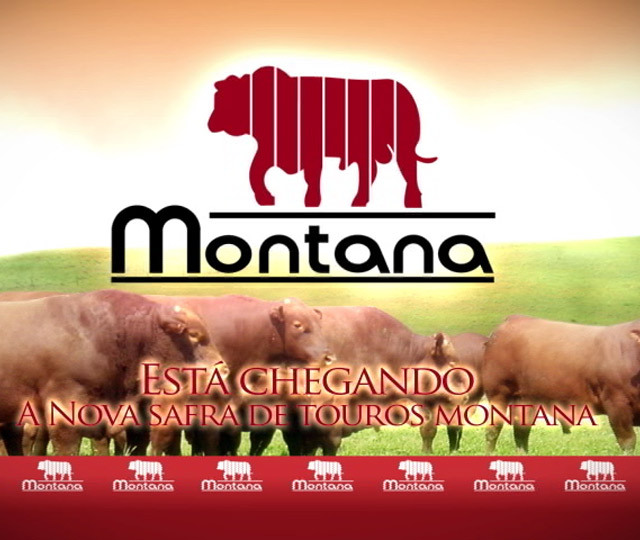 14° Leilão Montana RS