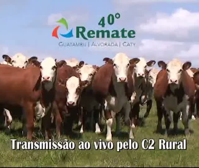 40º Remate Guatambu, Alvorada e Caty