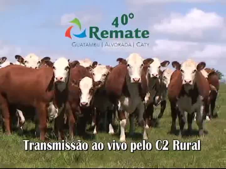 40º Remate Guatambu, Alvorada e Caty