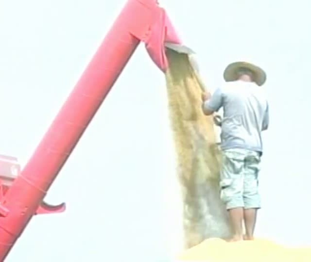 Alto valor dos fretes prejudica produtores de arroz