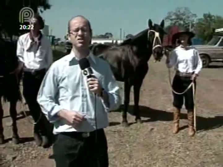 Comitiva cavalgará do Rio Grande do Sul a São Paulo para testar potencial do cavalo crioulo