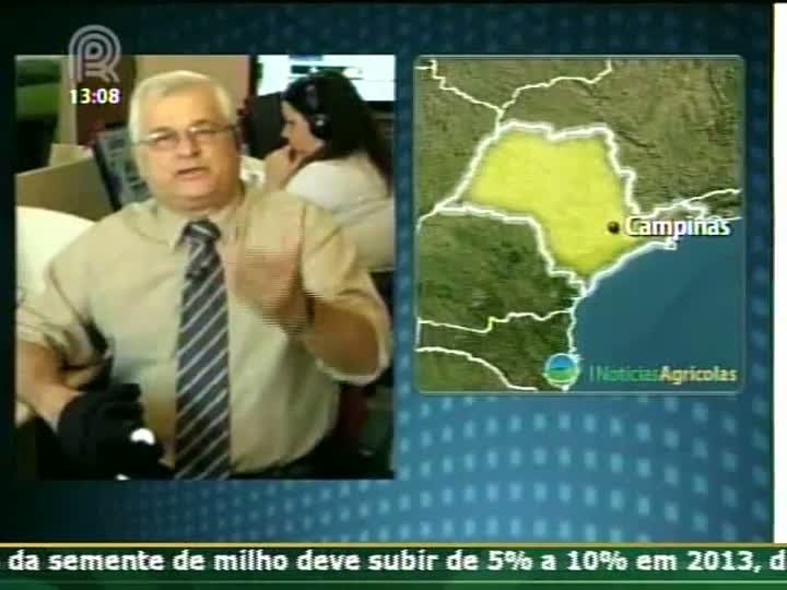 Analista de mercado fala sobre negociação de contratos de soja na Bolsa de Chicago