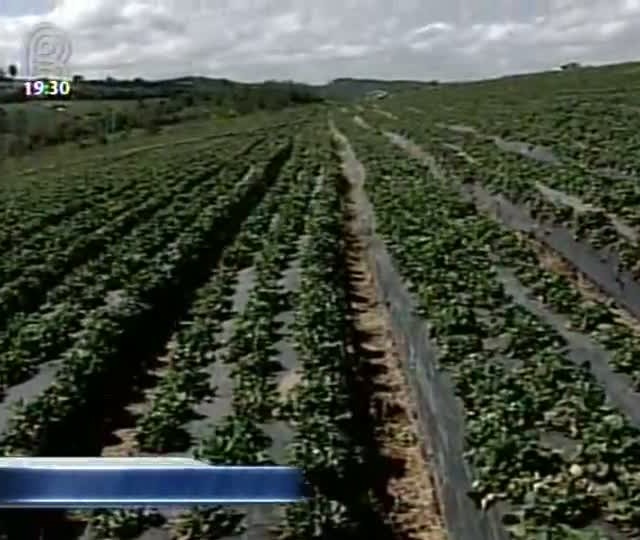 Projeto da Basf promete levar oportunidades aos produtores rurais na linha da sustentabilidade