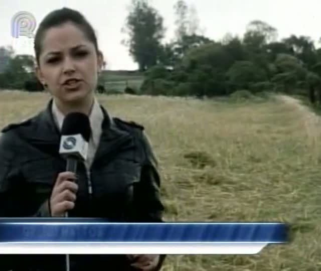 Produtores do Rio Grande do Sul preveem prejuízos no trigo e milho por causa das chuvas