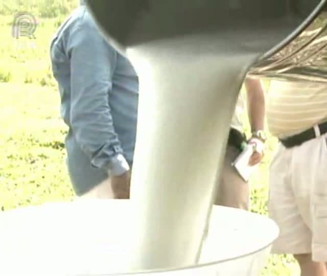 Na Estrada mostra criação de búfalos na Ilha de Marajó (PA)