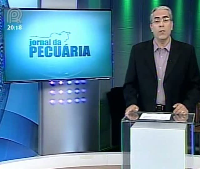 Scot Consultoria comenta mercado do boi, cotações e mercado físico